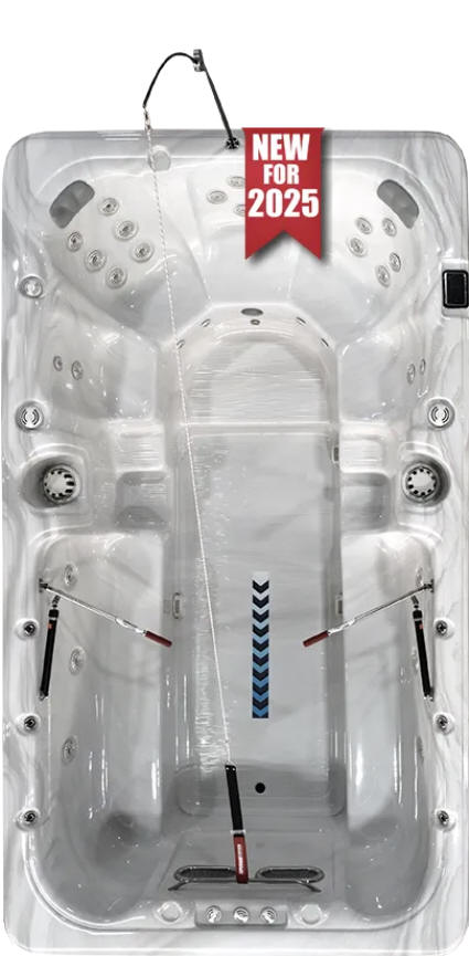 Dynasty Swim Spa 13ft Aquex Party