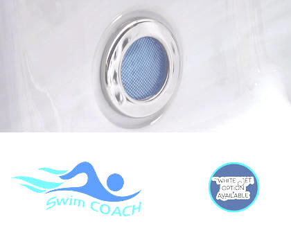 Dynasty Swim Spa 13ft Aquex Pro Plus Spa