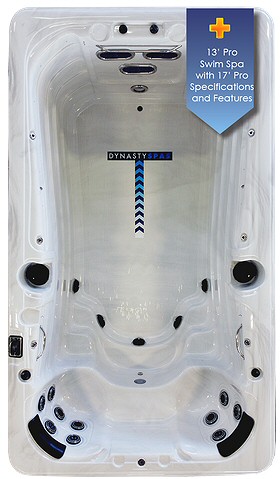 13' Aquex Pro Plus Swim Spa